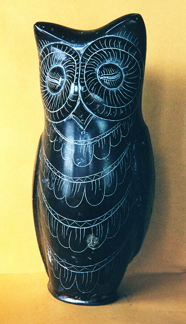Owl 11